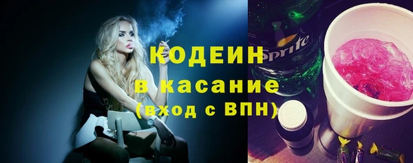 ешки Иннополис