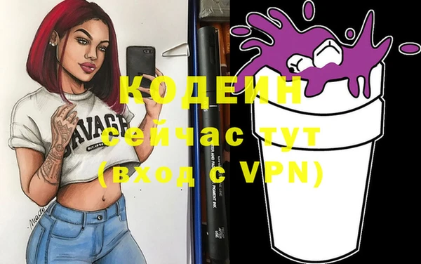ешки Иннополис