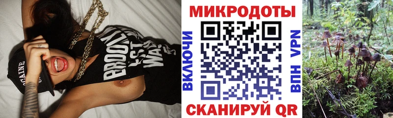 Галлюциногенные грибы ЛСД  купить наркоту  Кизляр 