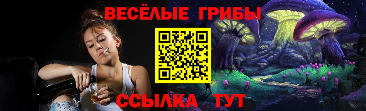 Галлюциногенные грибы прущие грибы Кизляр