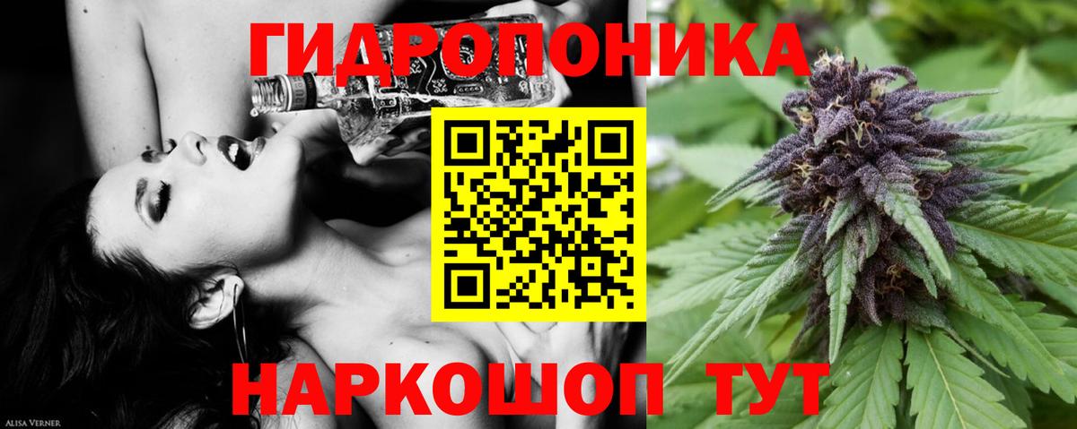 Бошки марихуана LSD WEED  МАРИХУАНА OG Kush  Каннабис семена  Канабис White Widow  Вход с VPN  Кизляр 
